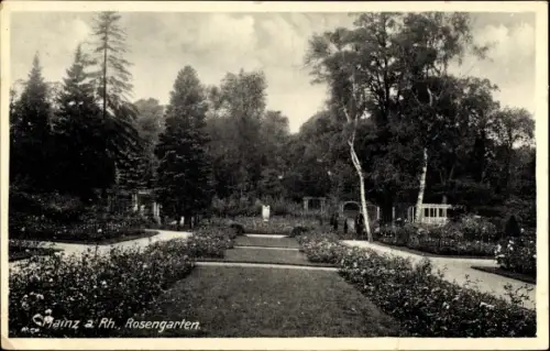 Ak Mainz am Rhein, Rosengarten