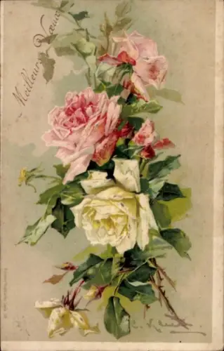 Präge Litho Klein, Catharina, Rosen, Weiße und rosa Blüten