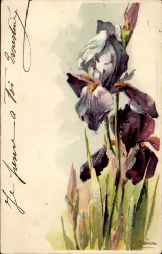 Präge Künstler Litho Klein, Catharina, Iris