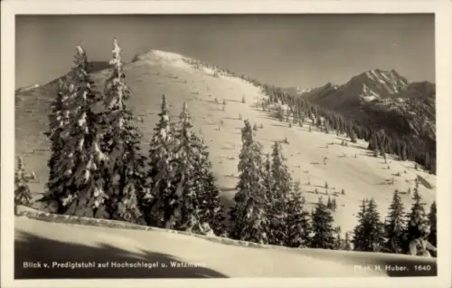 Ak Bad Reichenhall in Oberbayern, Predigtstuhl, Berglandschaft, schneebedeckte Berge, Nadelbäume,
