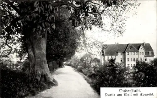 Ak Duderstadt im Eichsfeld,  Partie am Wall, Baum, Gebäude, Weg