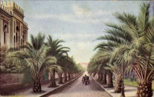 Ak Hyères Var, Palmengesäumte Straße