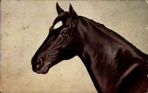 Künstler Ak Schwarzes Pferd, Pferdeportrait, Weißer Fleck auf der Stirn
