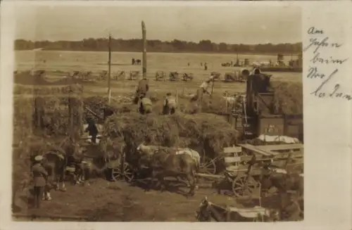 Foto Ak Deutsche Soldaten beim Stroh laden, Einsatz in der Landwirtschaft, Rinderfuhrwerk, Pferde