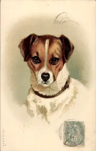 Künstler Ak Hund, Tierportrait