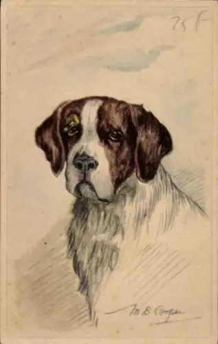 Künstler Ak Cooper, Bernhardiner, Tierportrait