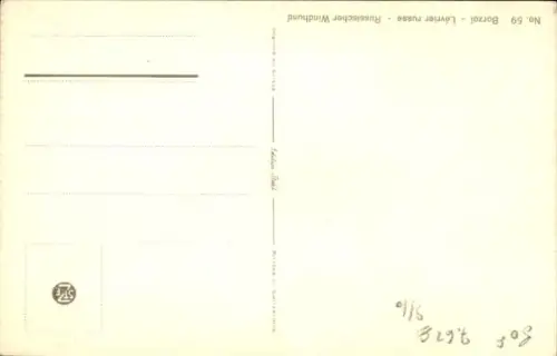 Ak Windhund, Hundeportrait