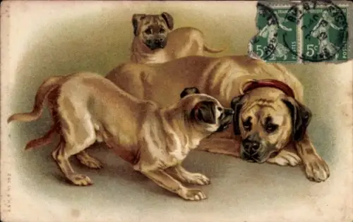 Künstler Ak Doggen, Tierportrait