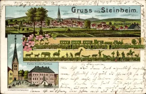 Litho Steinheim in Westfalen, Katholische Kirche, Rathaus, Hecken-Figuren