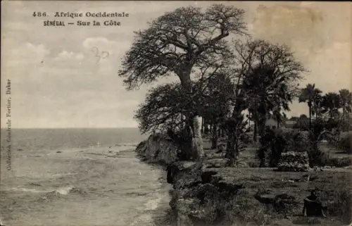 Ak Senegal, Küstenlandschaft, Bäume, Meer,  Afrika, 