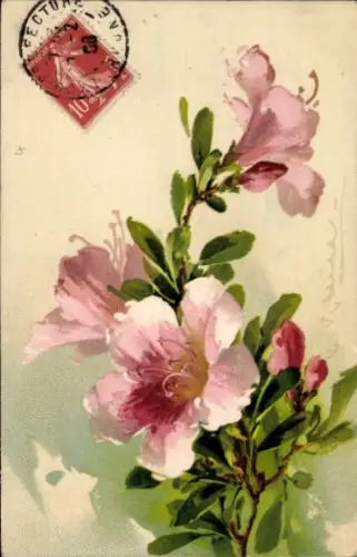 Künstler Ak Klein, Catharina, Azalee, Blüten