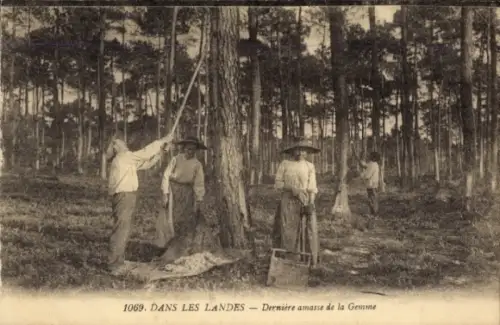 CPA Dans les Landes, Dernière amasse de la Gemme