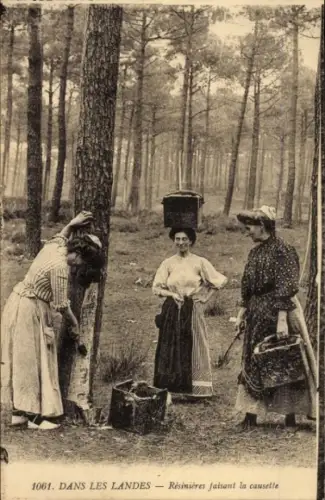 Ak Landes, Harzarbeiterinnen im Wald