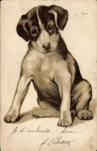 Künstler Ak Hund, Tierportrait
