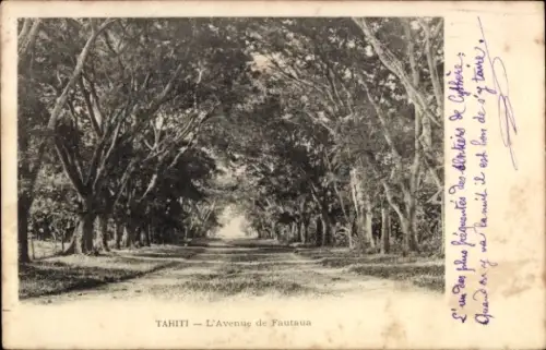 Ak Tahiti Ozeanien, Avenue de Fautaua, Bäume, Weg, Schwarz-Weiß-Foto