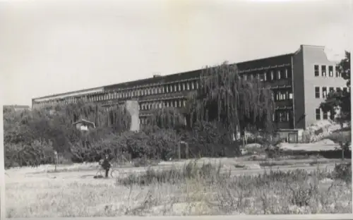 Original Foto Berlin Neukölln, Sonnenallee, Arbeitsamt Neukölln, um 1946
