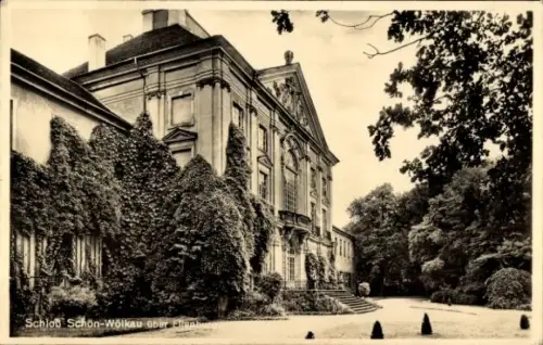 Ak Schönwölkau in Sachsen, Schloss