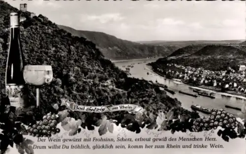 Ak Bad Salzig Boppard am Rhein, Gesamtansicht, Wein