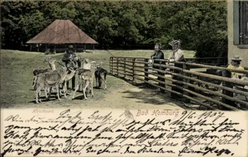 Ak Bad Homburg vor der Höhe Hessen, Hirschpark