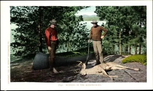 Ak New York USA, Jagd in den Adirondacks, Hirsche