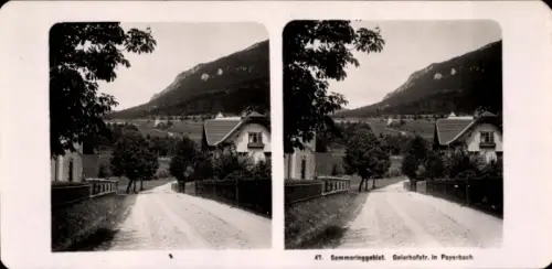 Stereo Foto Payerbach an der Rax in Niederösterreich, Geierhofstraße