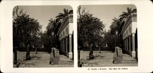 Stereo Foto Sevilla Andalusien, Alcazar, Garten