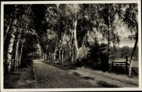 Ak Pritzwalk in der Prignitz, Hainholz Promenade