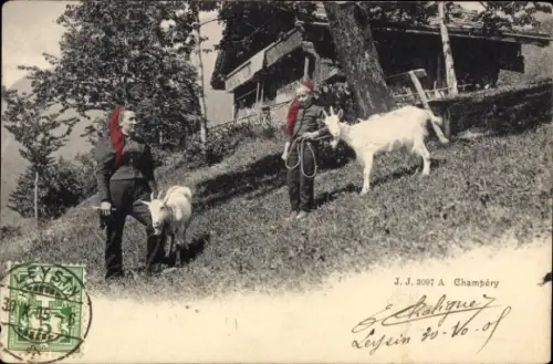 Ak Champéry Kanton Wallis, Haus, Ziegen