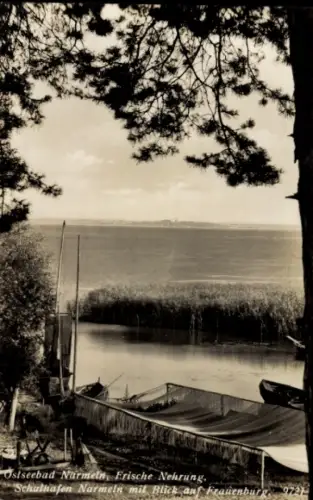 Ak Polsk Narmeln Gdańsk Danzig, Frische Nehrung, Fischernetze, Blick auf Frauenburg