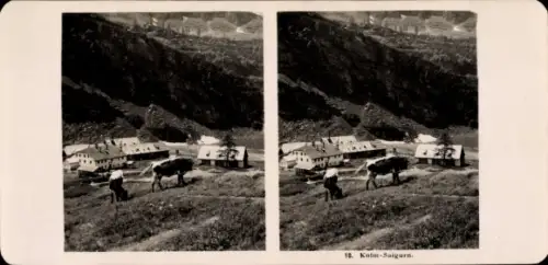 Stereo Foto Salzburg Österreich, Kolm-Saigurn, Gesamtansicht