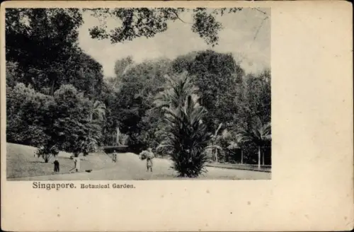 Ak Singapore Singapur, Botanical Garden, Botanischer Garten