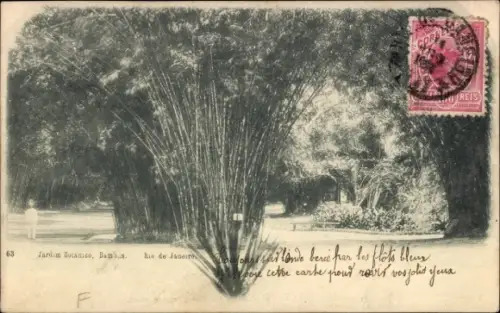 Ak Rio de Janeiro Brasilien, Botanischer Garten