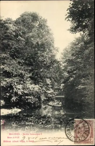 Ak Mechelen Mecheln Malines Flandern Antwerpen, Botanischer Garten