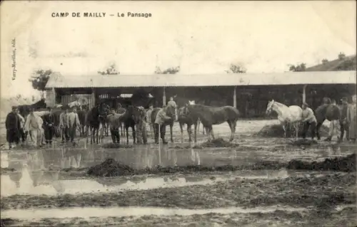Ak Mailly le Camp Aube, Le Pansage, Pferde