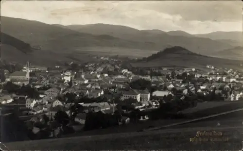 Ak Gozdnica Freiwaldau Schlesien, Gesamtansicht