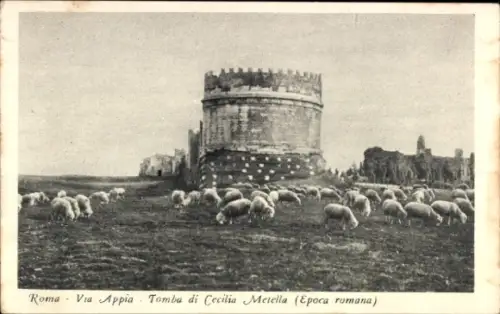 Ak Roma Rom Lazio, Tomba di Cecilia Metella, Via Appia, Schafe