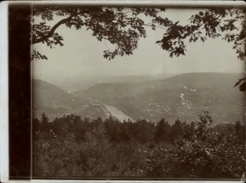 Foto Ak Rüdesheim am Rhein, Gesamtansicht