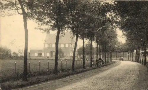 Ak Enschede Overijssel Niederlande, Allee mit Bäumen, gepflasterte Straße, Haus im Hintergrund
