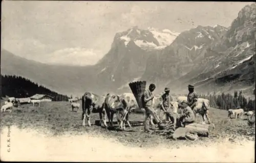 Ak Schweiz, grasende Kühe, Bauer