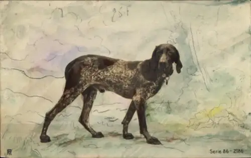 Ak Hund, Tierportrait