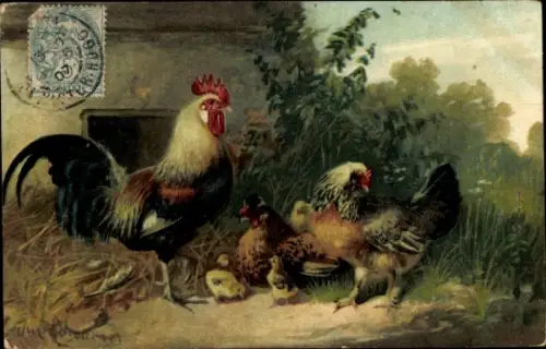 Künstler Ak Hahn mit Hühnern und Kücken auf dem Hof