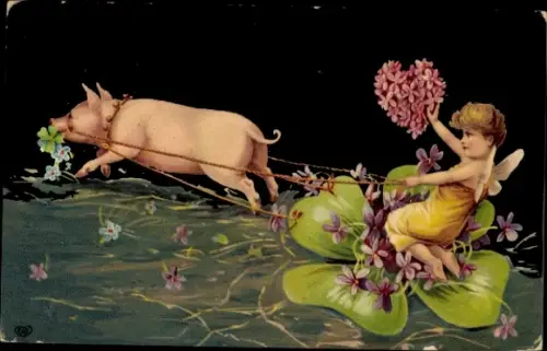 Ak Fee auf Kleeblatt vom Schwein gezogen