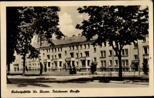 Ak Ludwigsfelde in Brandenburg,  Potsdamer Straße, Wohngebäude, Bäume