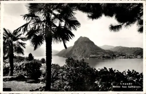 Ak Lugano Kanton Tessin Schweiz, Landschaft mit Palmen, Monte San Salvatore, Lugano