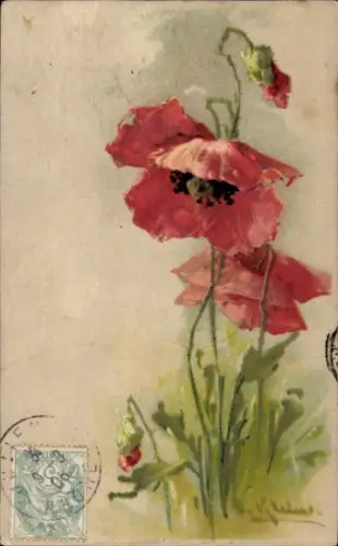 Künstler Ak Klein, Catharina, Mohnblumen