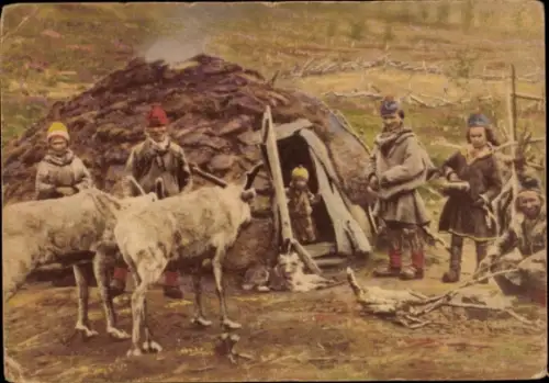 Ak Norwegen, Lapper, Rentiere