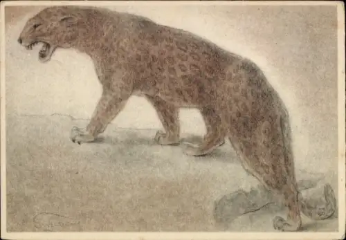 Künstler Ak Leopard, Tierportrait