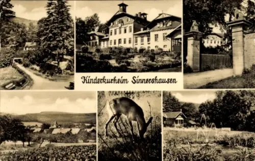 Ak Sinnershausen Wasungen im Thüringer Wald, Kinderkurheim  Landschaft, Rehe, Gebäude, Natur