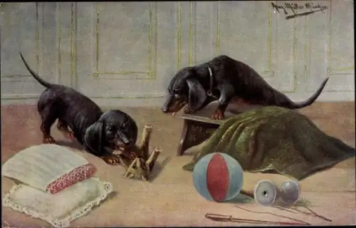 Künstler Ak Müller, Aug., zwei Dackel beim Spielen