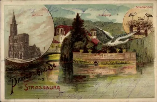Litho Straßburg Elsass Bas Rhin, Münster, Orangerie, Storchennest